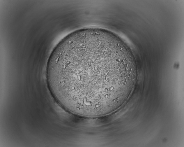 X0000101681279200807241337