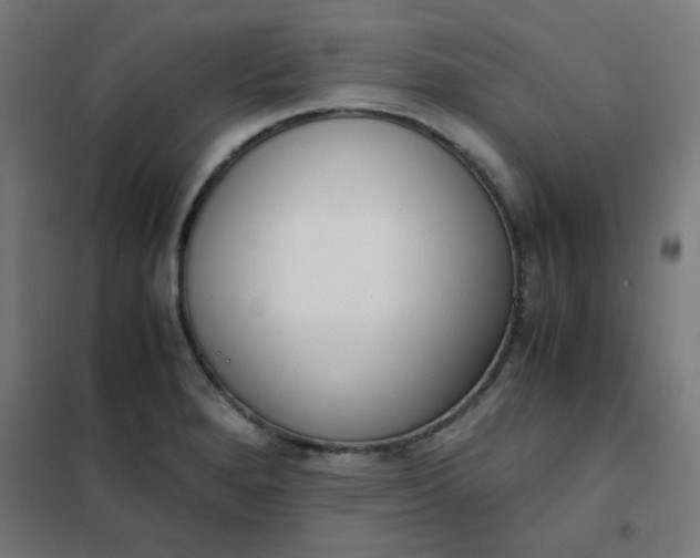 X0000101681280200807241337