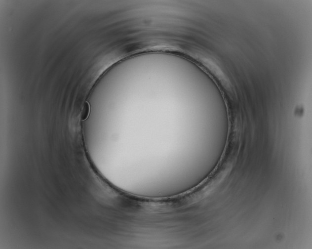 X0000101681281200807241337