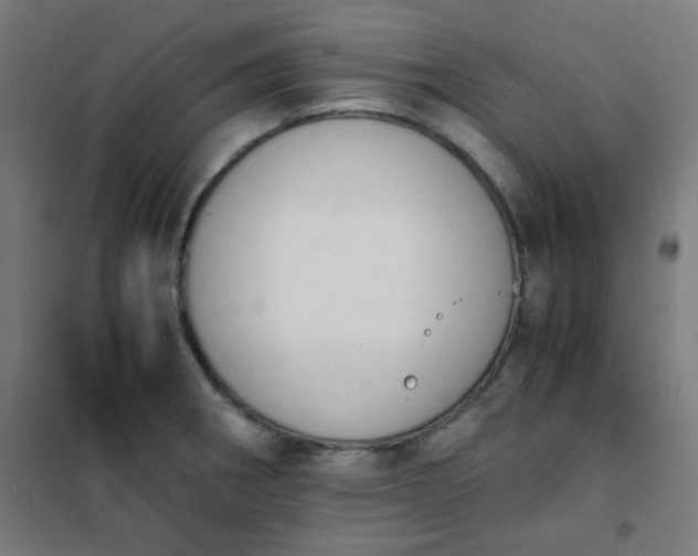 X0000101681282200807241337