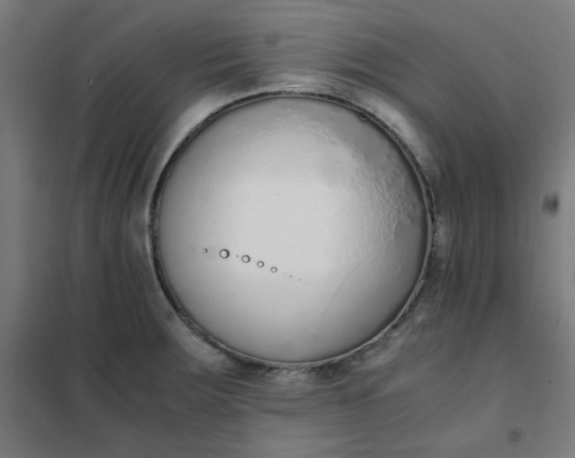 X0000101681283200807241337