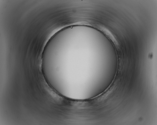 X0000101681284200807241337