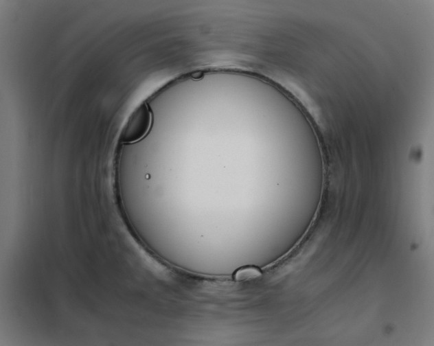 X0000101681285200807241337