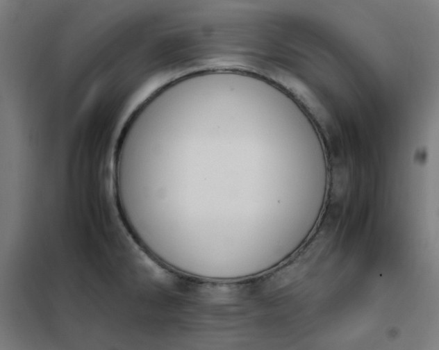 X0000101681286200807241337