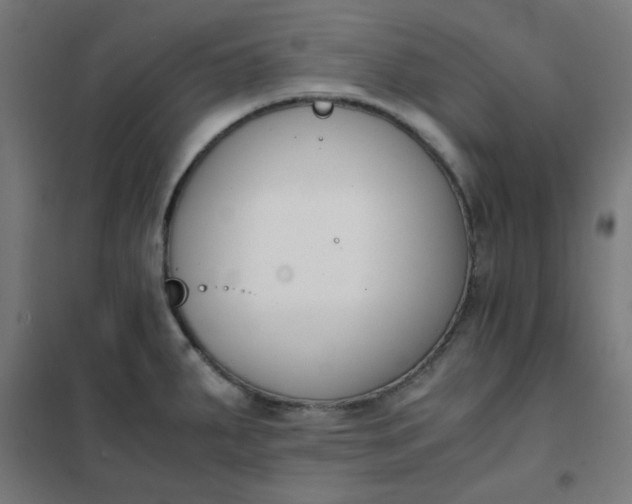 X0000101681287200807241337