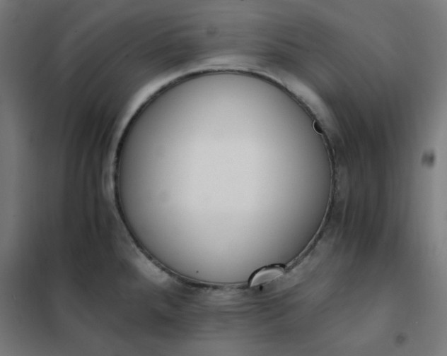 X0000101681288200807241337