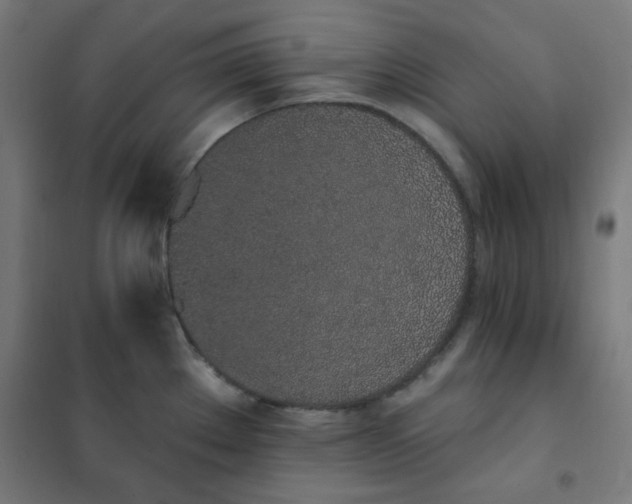 X0000101681289200807241337