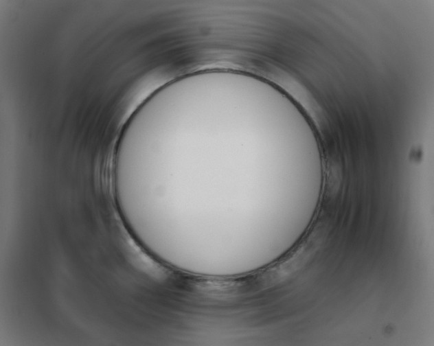 X0000101681290200807241337