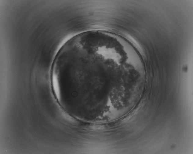 X0000101681291200807241337