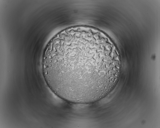 X0000101681294200807241337