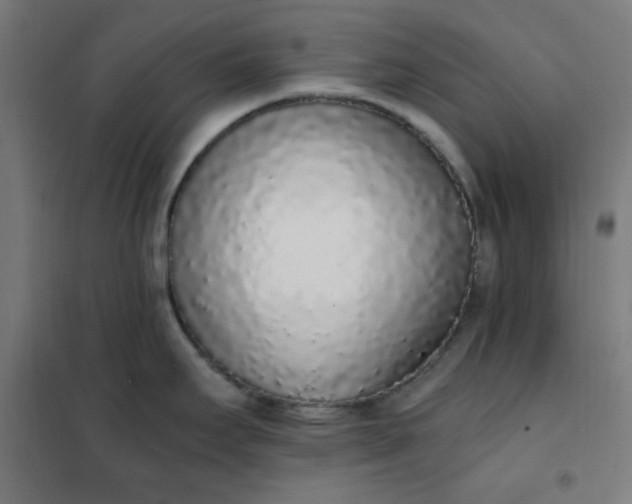 X0000101681295200807241337