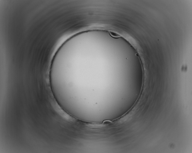 X0000101681296200807241337