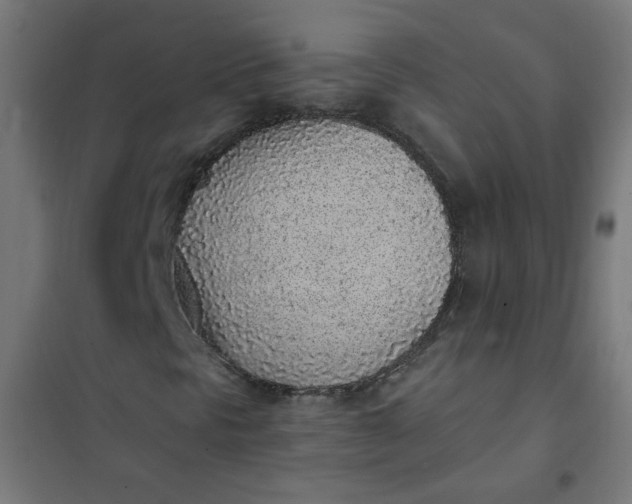 X0000101681297200807241336