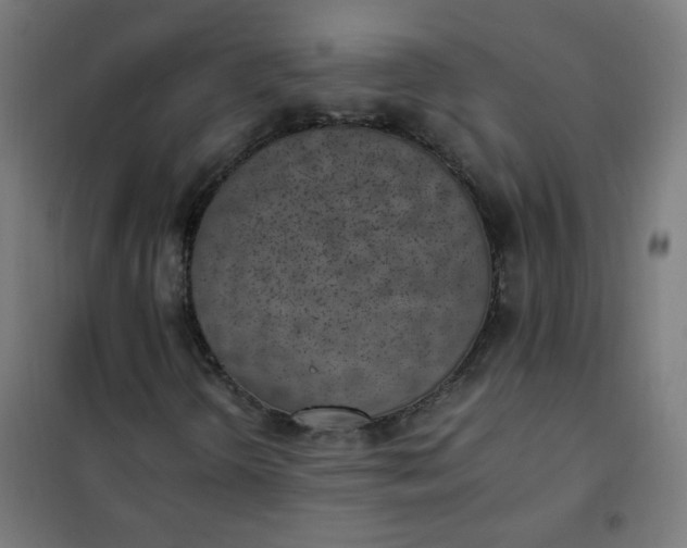 X0000101681298200807241336