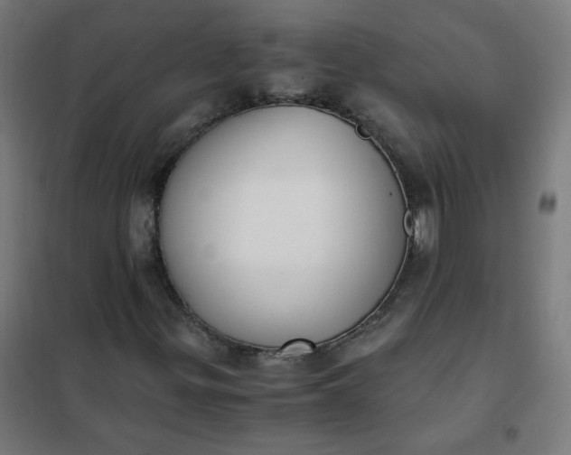 X0000101681299200807241336