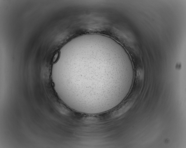 X0000101681300200807241336