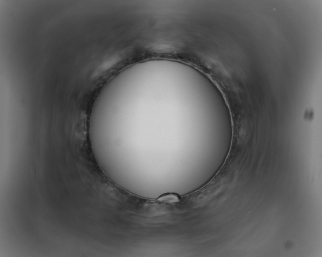 X0000101681301200807241336