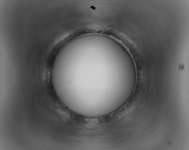 X0000101681302200807241336