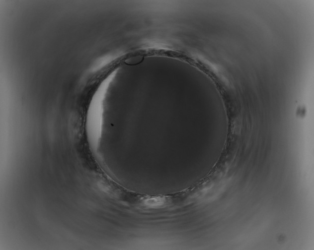 X0000101681303200807241336