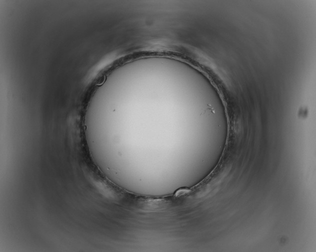 X0000101681304200807241336