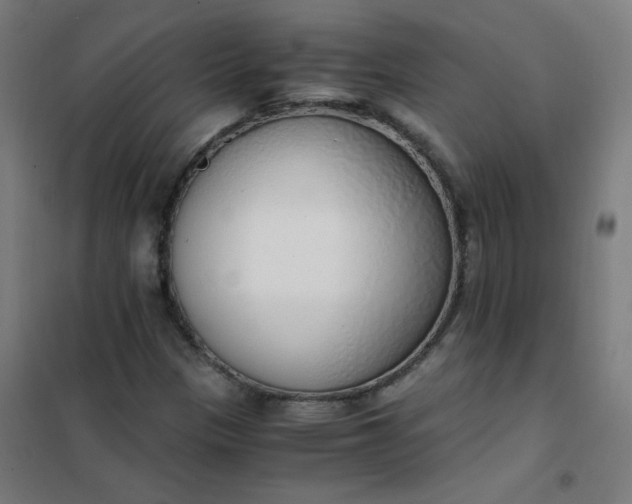 X0000101681305200807241336