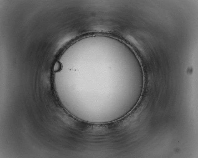 X0000101681307200807241336