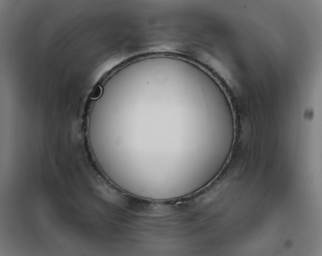 X0000101681308200807241336