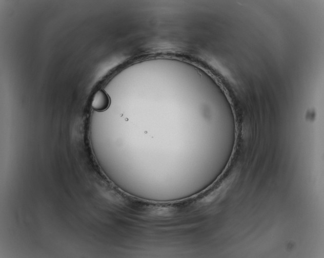 X0000101681309200807241336