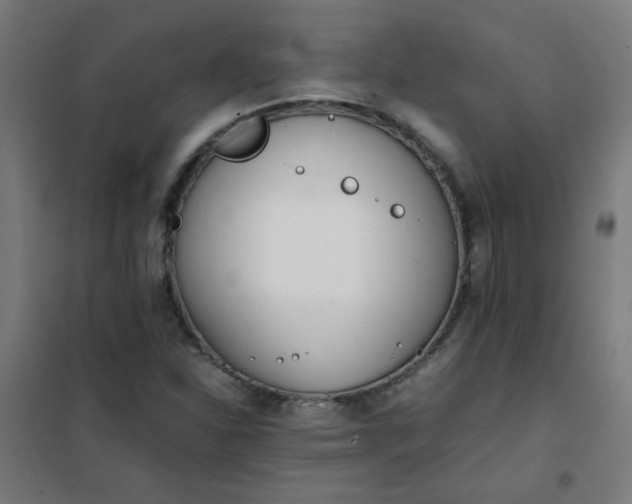 X0000101681310200807241336