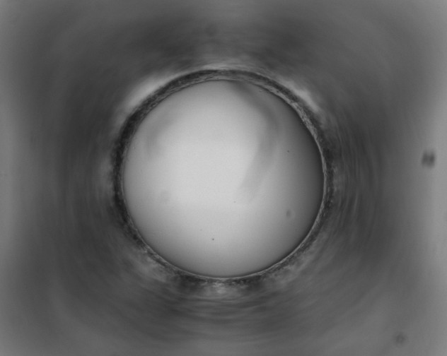 X0000101681311200807241336