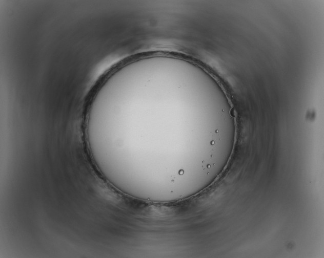 X0000101681312200807241336