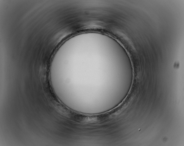 X0000101681313200807241336