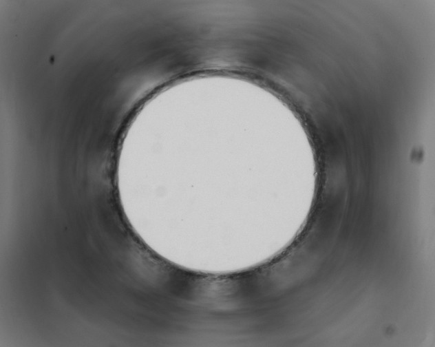 X0000101681314200807241336