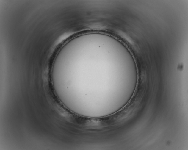 X0000101681315200807241336