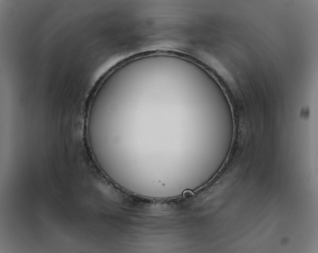 X0000101681316200807241336