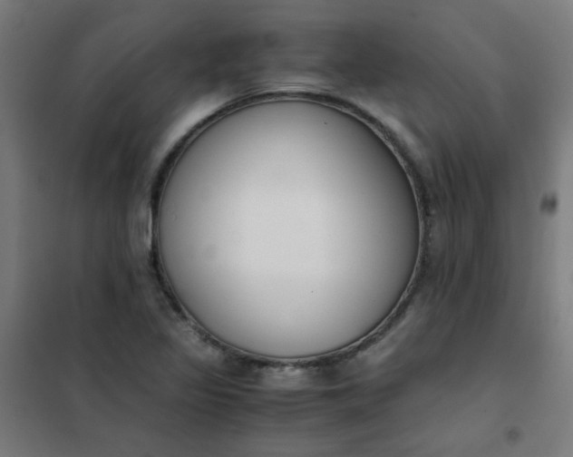 X0000101681317200807241336