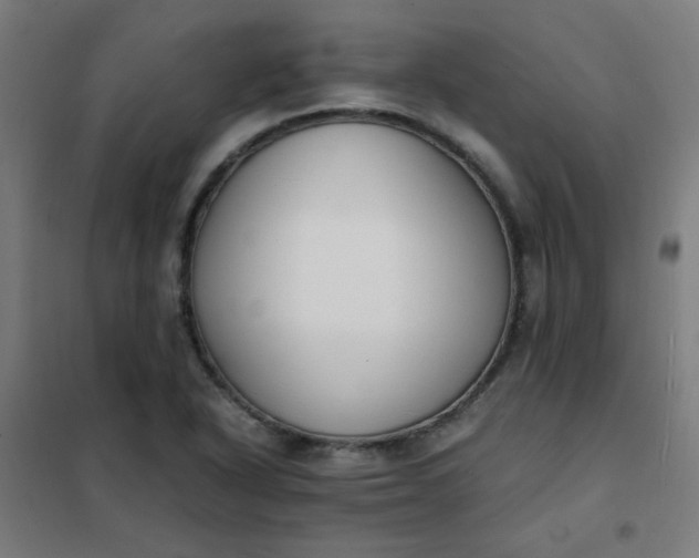 X0000101681318200807241336