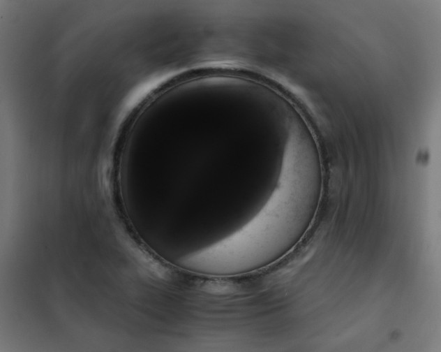 X0000101681319200807241336