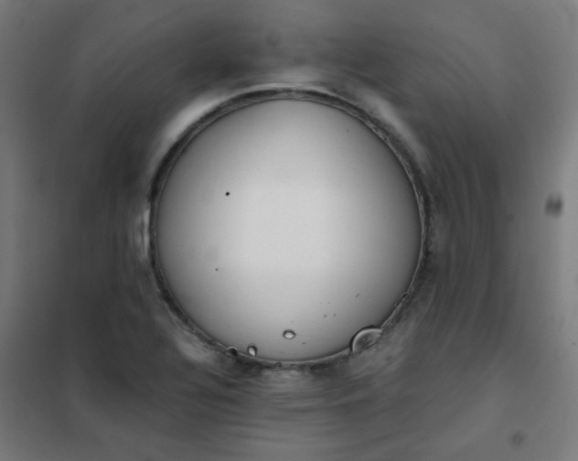 X0000101681320200807241336