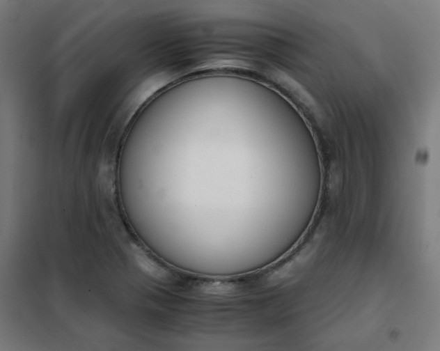 X0000101681321200807241336