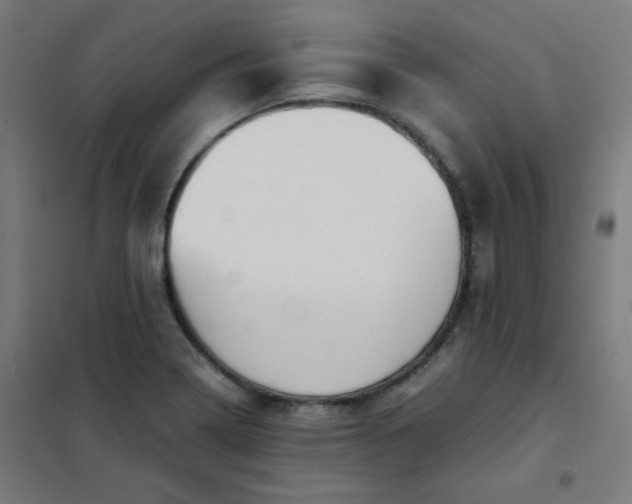 X0000101681322200807241336