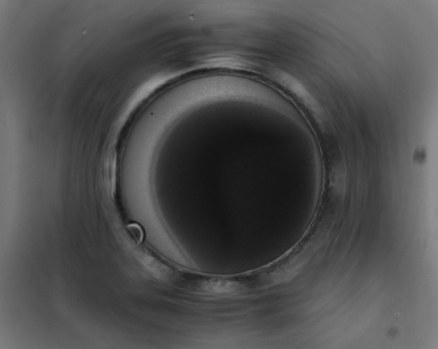 X0000101681323200807241336