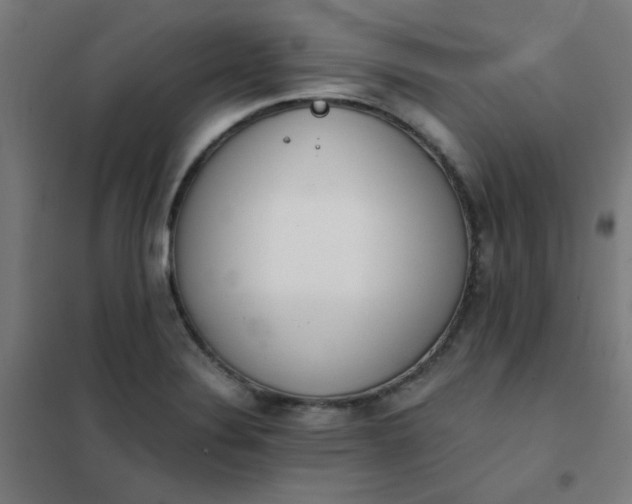 X0000101681324200807241336