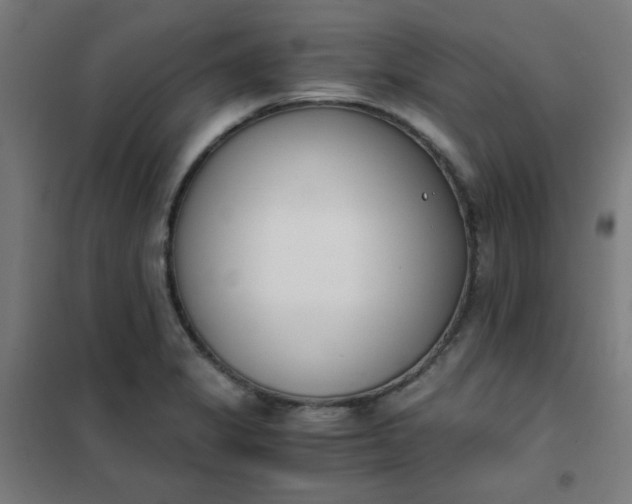 X0000101681325200807241336