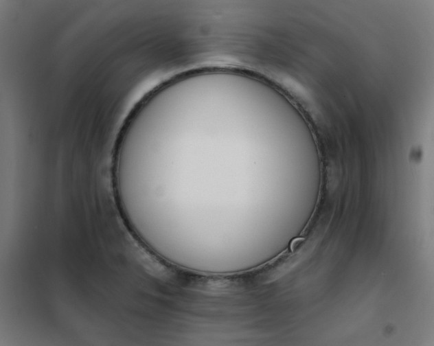 X0000101681326200807241336