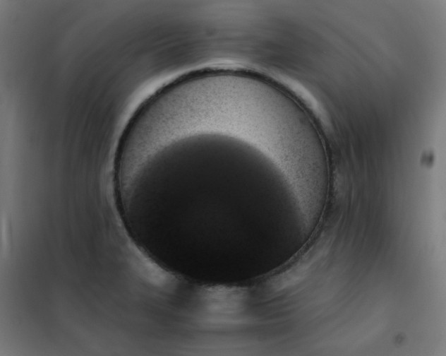 X0000101681327200807241336