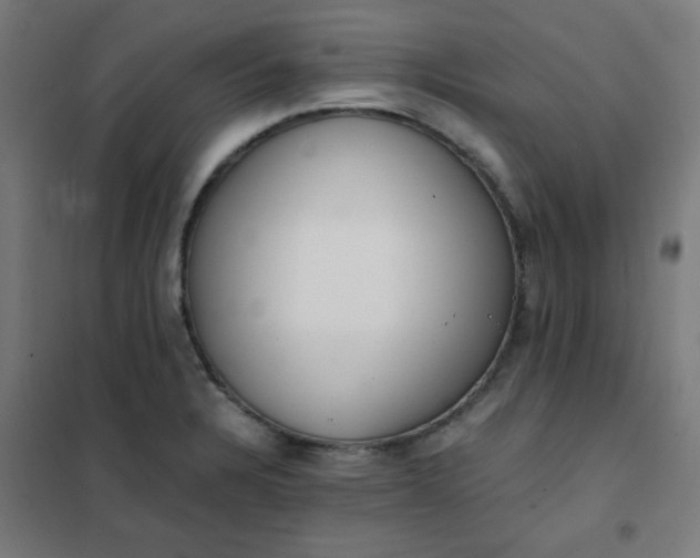 X0000101681328200807241336