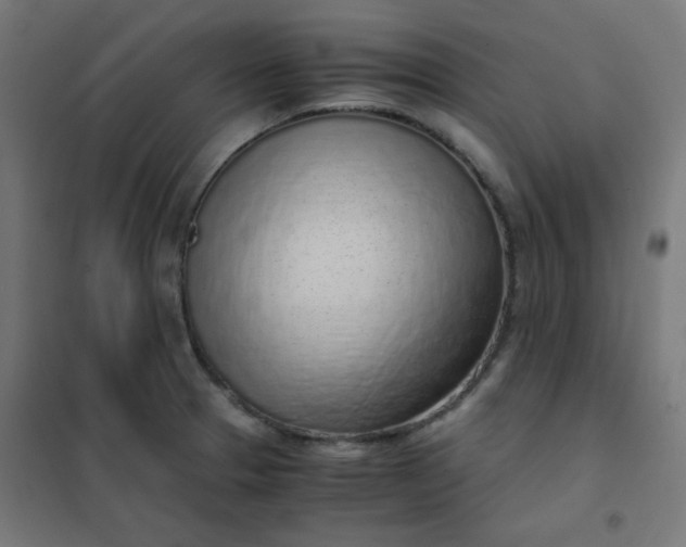 X0000101681329200807241336