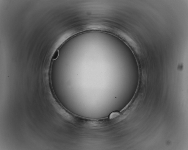 X0000101681330200807241336