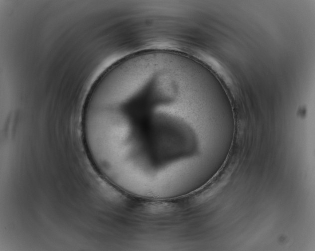 X0000101681331200807241336